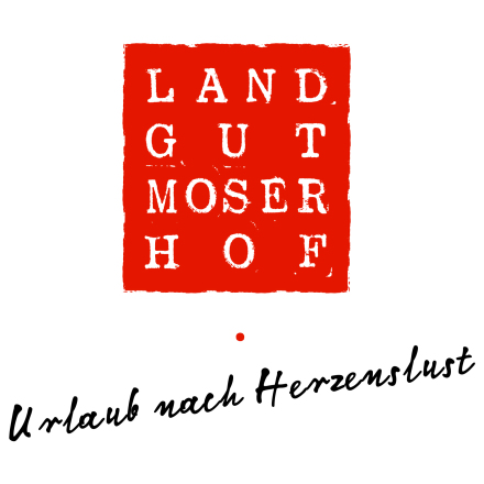 Partner/Sponsor Logo