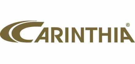 Partner/Sponsor Logo